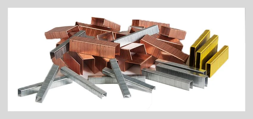 Products Galvanized Staples