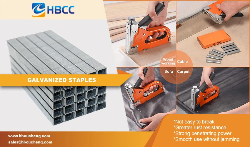 Advantage Galvanized Staples